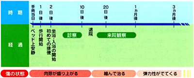 術後の経過