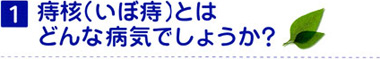 1 痔核（いぼ痔）とはどんな病気でしょうか？