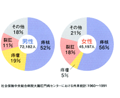 痔の性別発症頻度グラフ