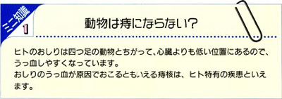 ミニ知識・動物は痔にならない？