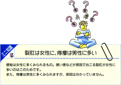 裂肛は女性に、痔瘻は男性に多い