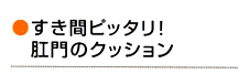 すき間ピッタリ！ 肛門のクッション