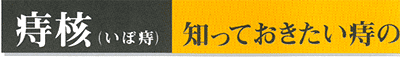 痔核（いぼ痔） 知っておきたい痔の3タイプ1