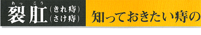 裂肛（きれ痔）（さけ痔） 知っておきたい痔の3タイプ2