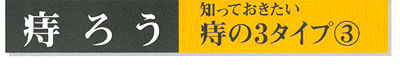 痔ろう如っておきたい痔の3タイプ3